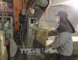 Thị trường vật liệu xây dựng ổn định